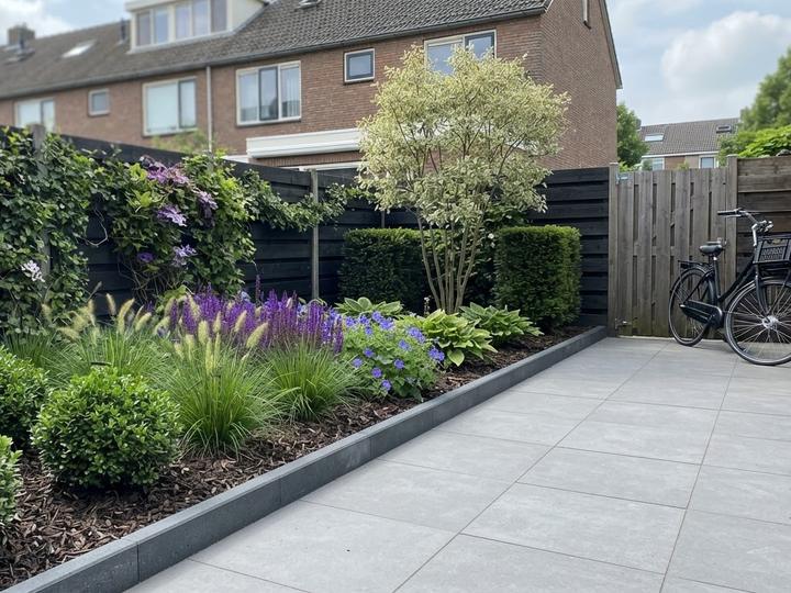 Impressie van een strak aangelegde border met cortenstalen rand, siergras, salie en een meerstammige boom