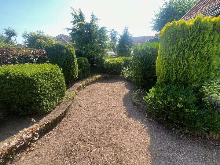 Verzorgde tuin met een net pad tussen geknipte heesters en coniferen