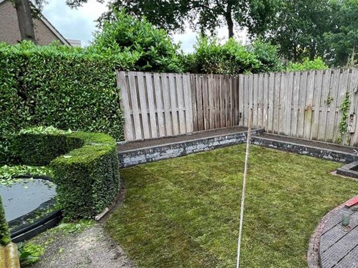 Nieuw gazon van graszoden in een achtertuin met schutting en hagen