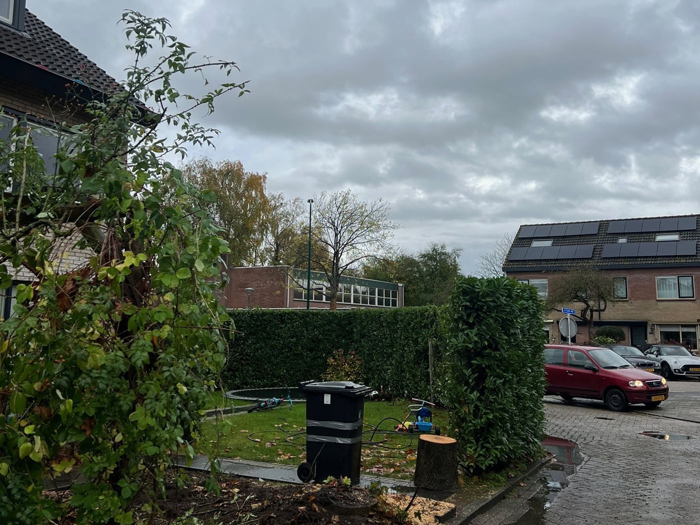 Dezelfde plek na het kappen, alleen de stomp is over