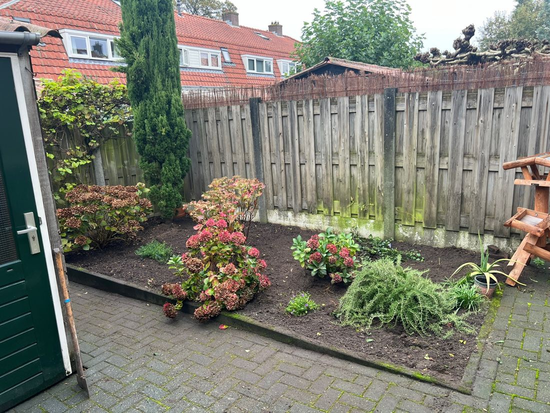 Border vol hortensia's na onderhoud